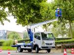 Renault Maxity Lift Platform 2008 года